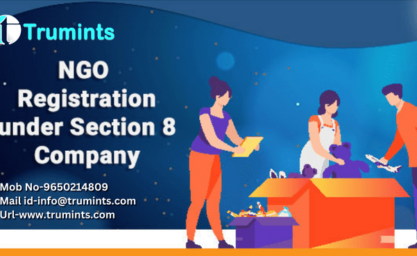 Eligibility to Apply for NGO/NPO Section 8 Company