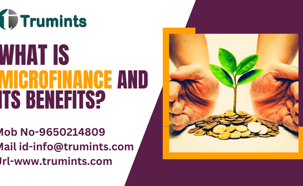 What is microfinance and its benefits?