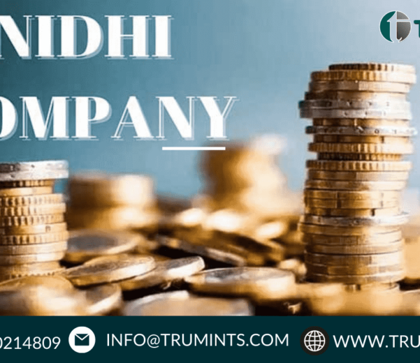 How does Nidhi Company make money