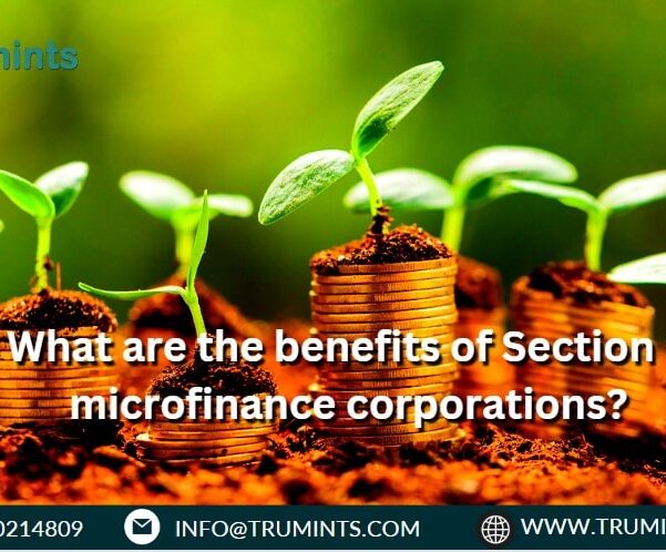 What are the benefits of Section 8 microfinance corporations?