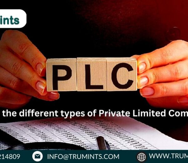 What are the different types of Private Limited Companies?